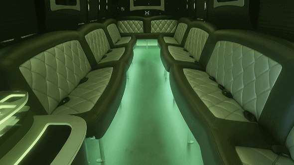 chicago 20 passenger party bus